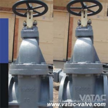 JIS Standard 10k Cast Steel Wcb/Lcb/Wc6 Marine Gate Valve